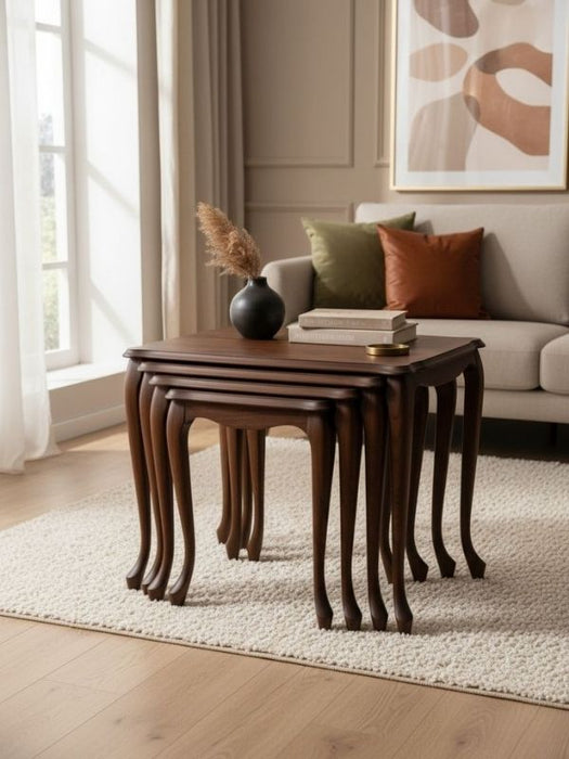 Oakly Lükens 4'lü Ahşap Zigon Sehpa