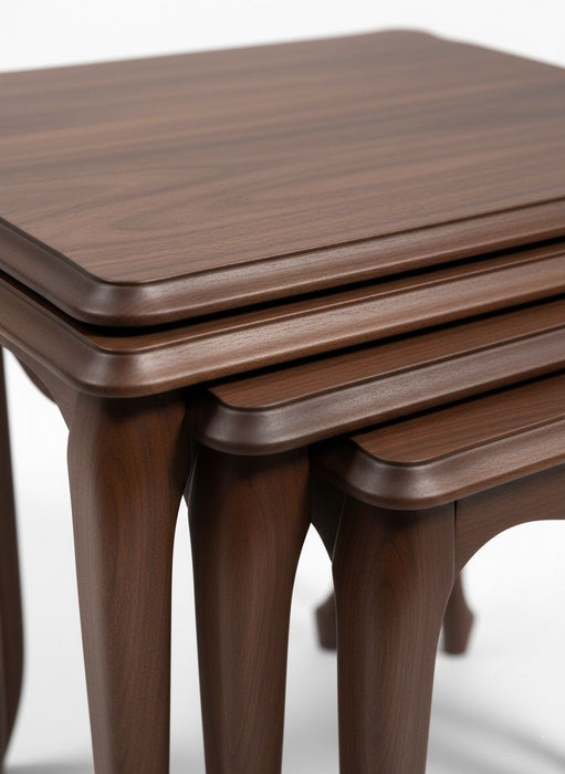 Oakly Lükens 4'lü Ahşap Zigon Sehpa