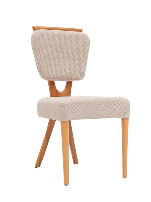 Venüs İskandinav Sandalye